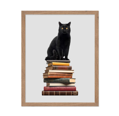 Cat & Books