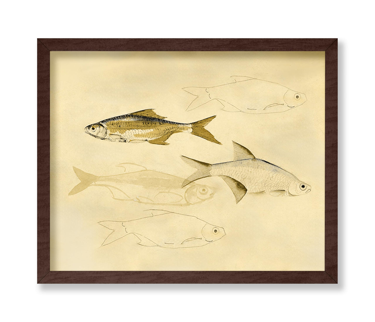 Fish Sketch