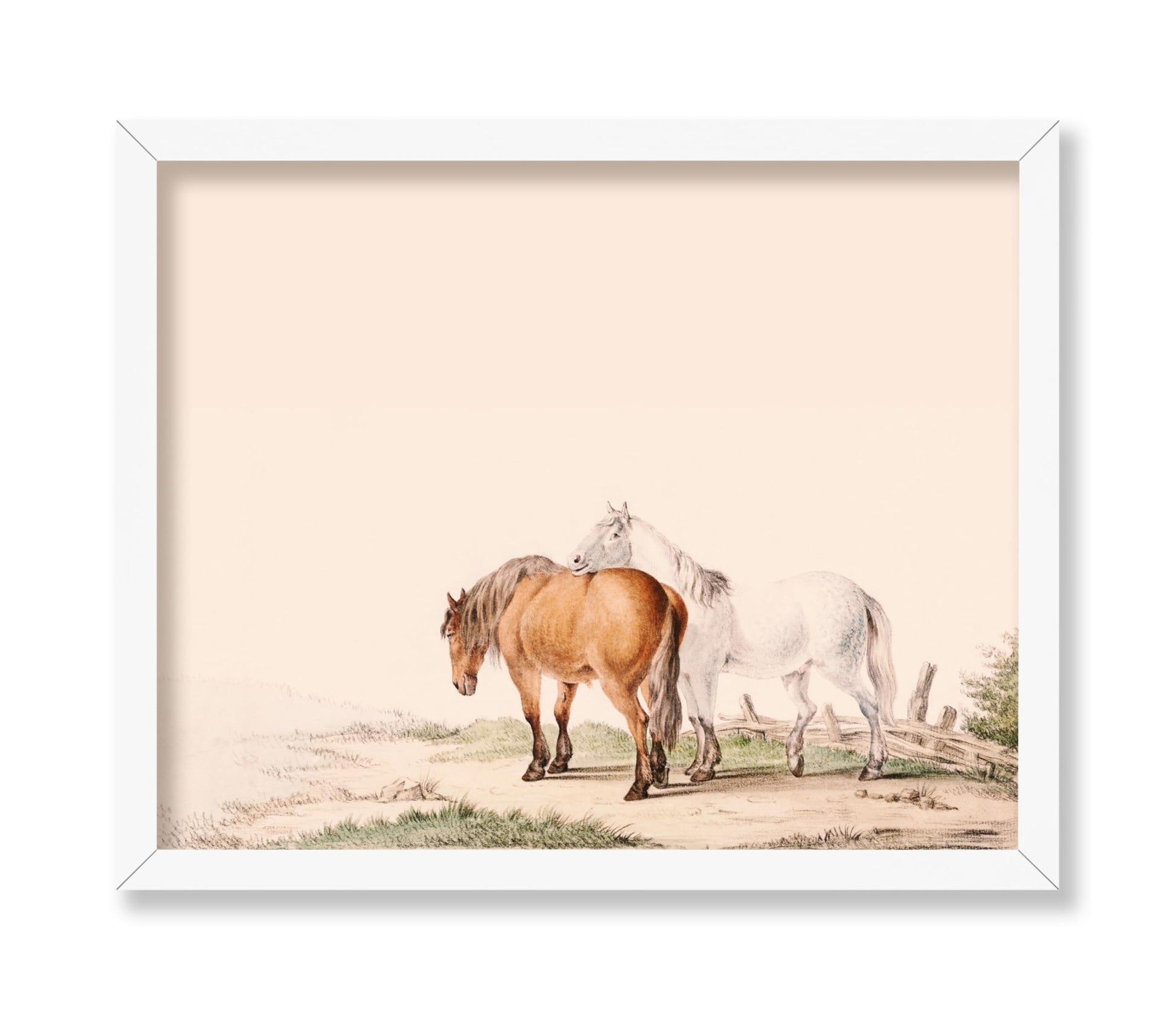 Brown and White Horse