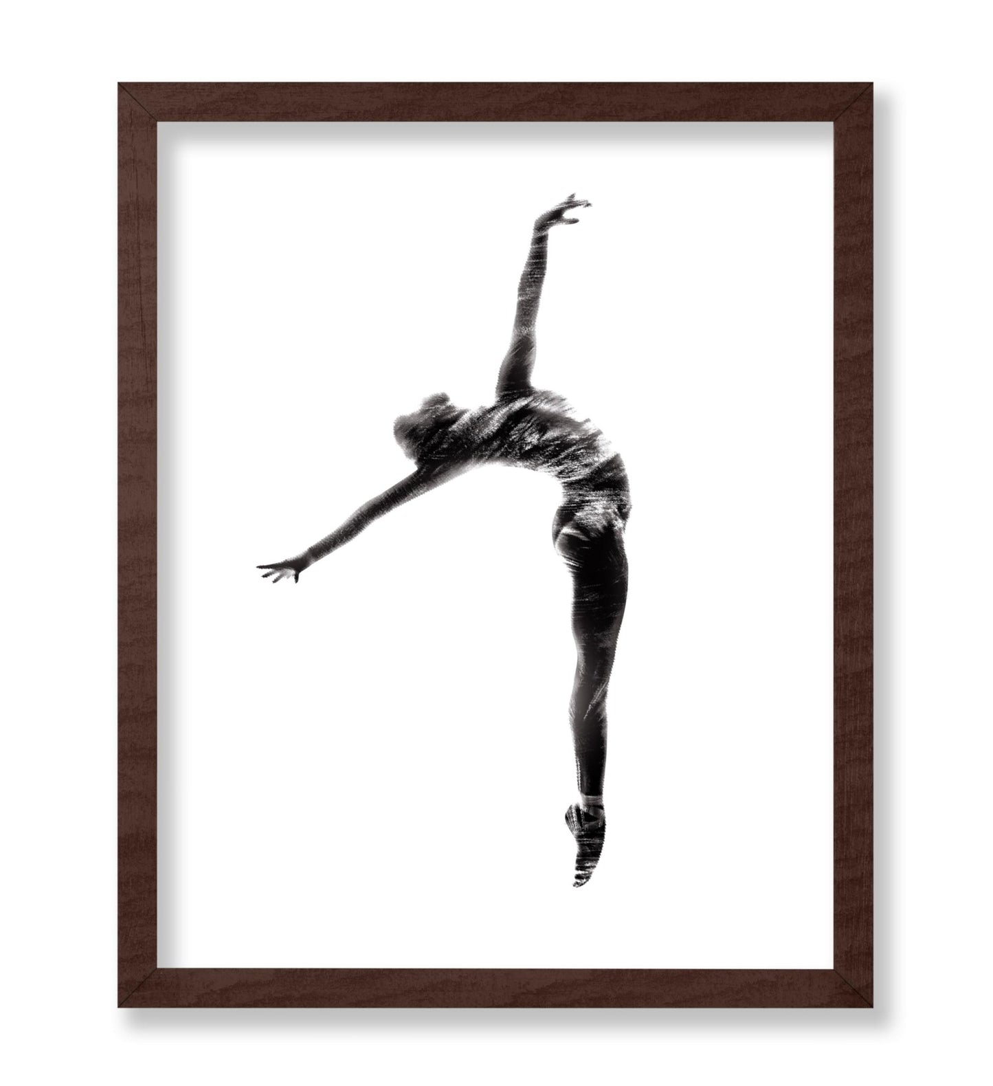 Ballet Dancer