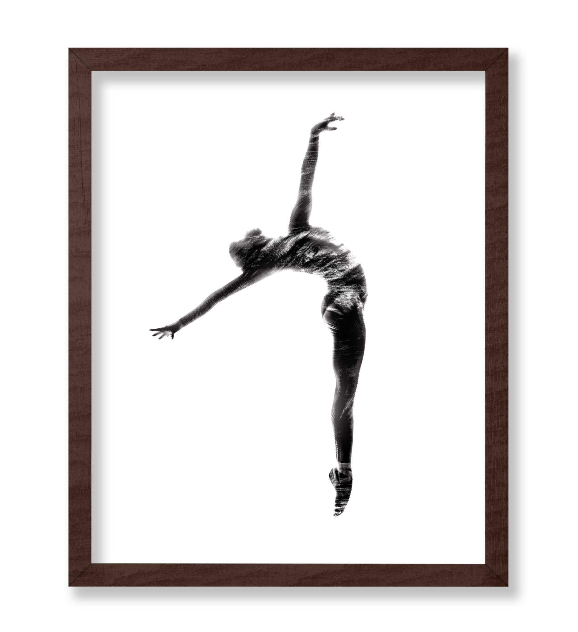 Ballet Dancer