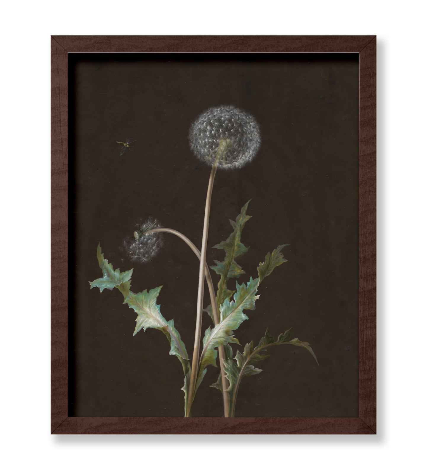 Dandelion
