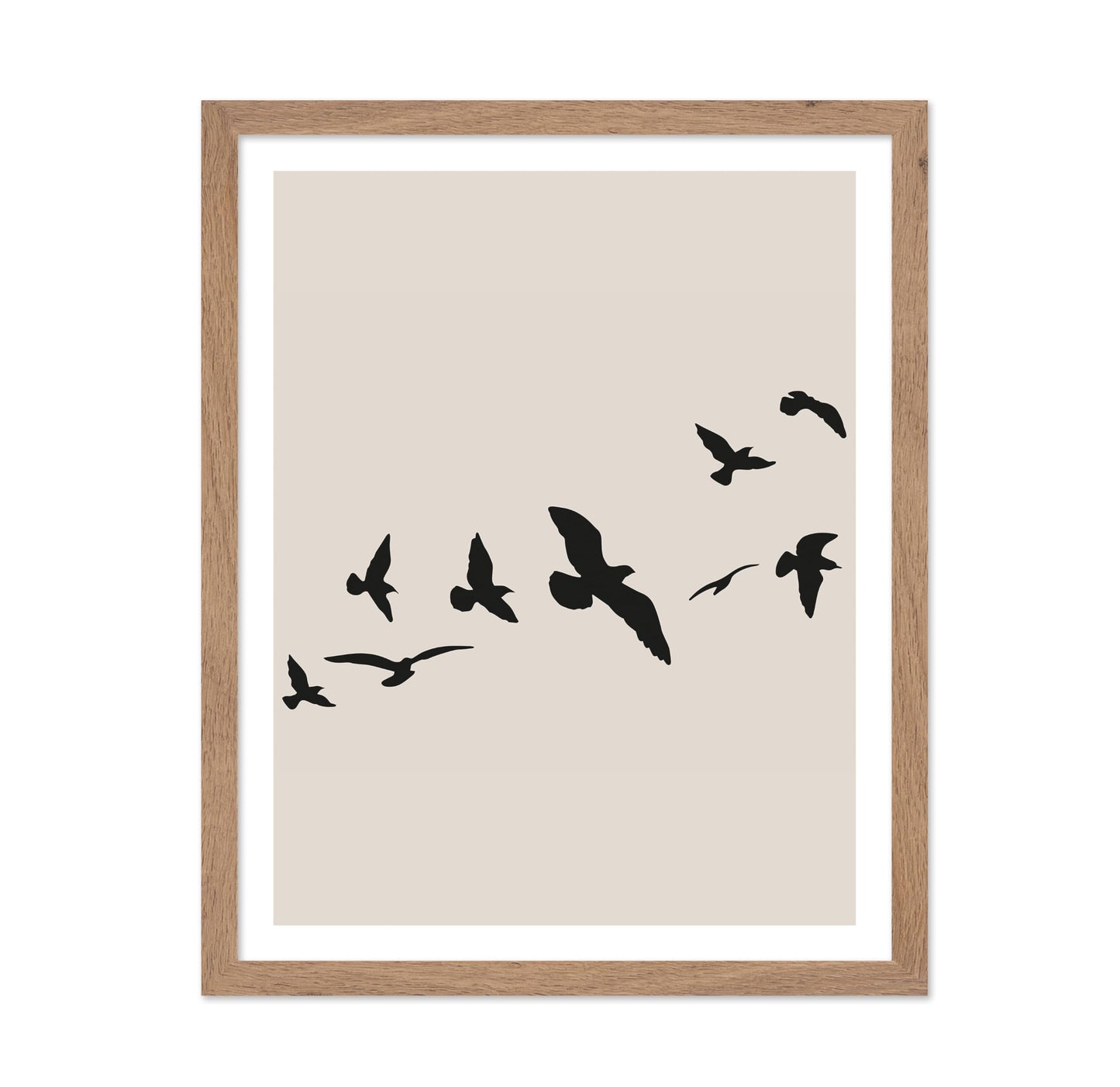 Flying Birds Silhouette