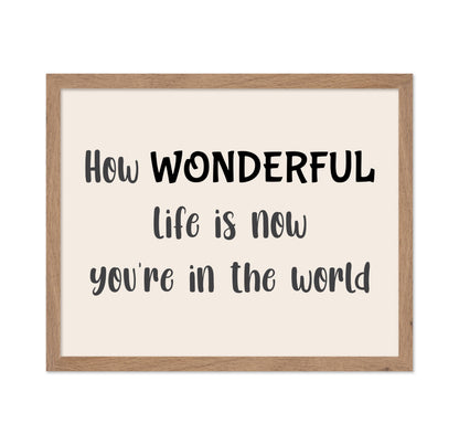 How Wonderful Life Is