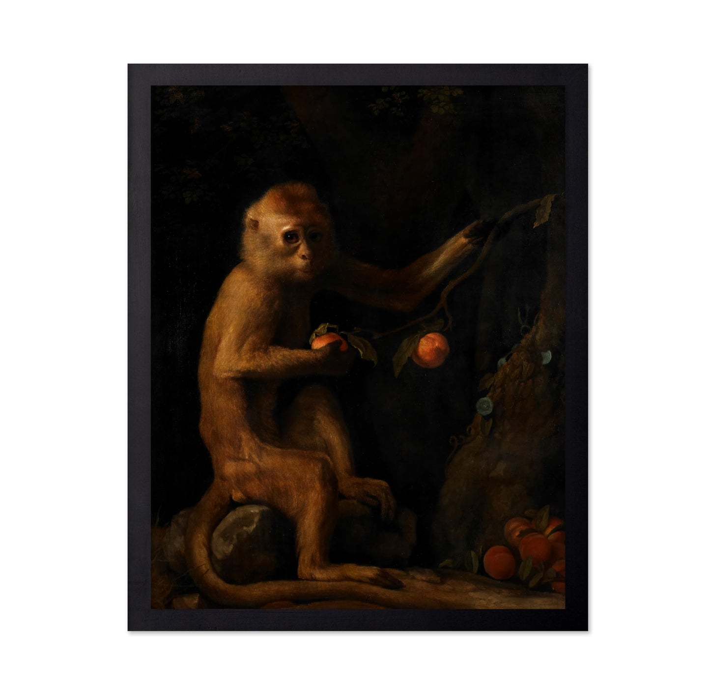 A Monkey