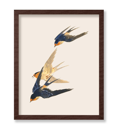 Swallows in Flight