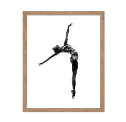 Ballet Dancer