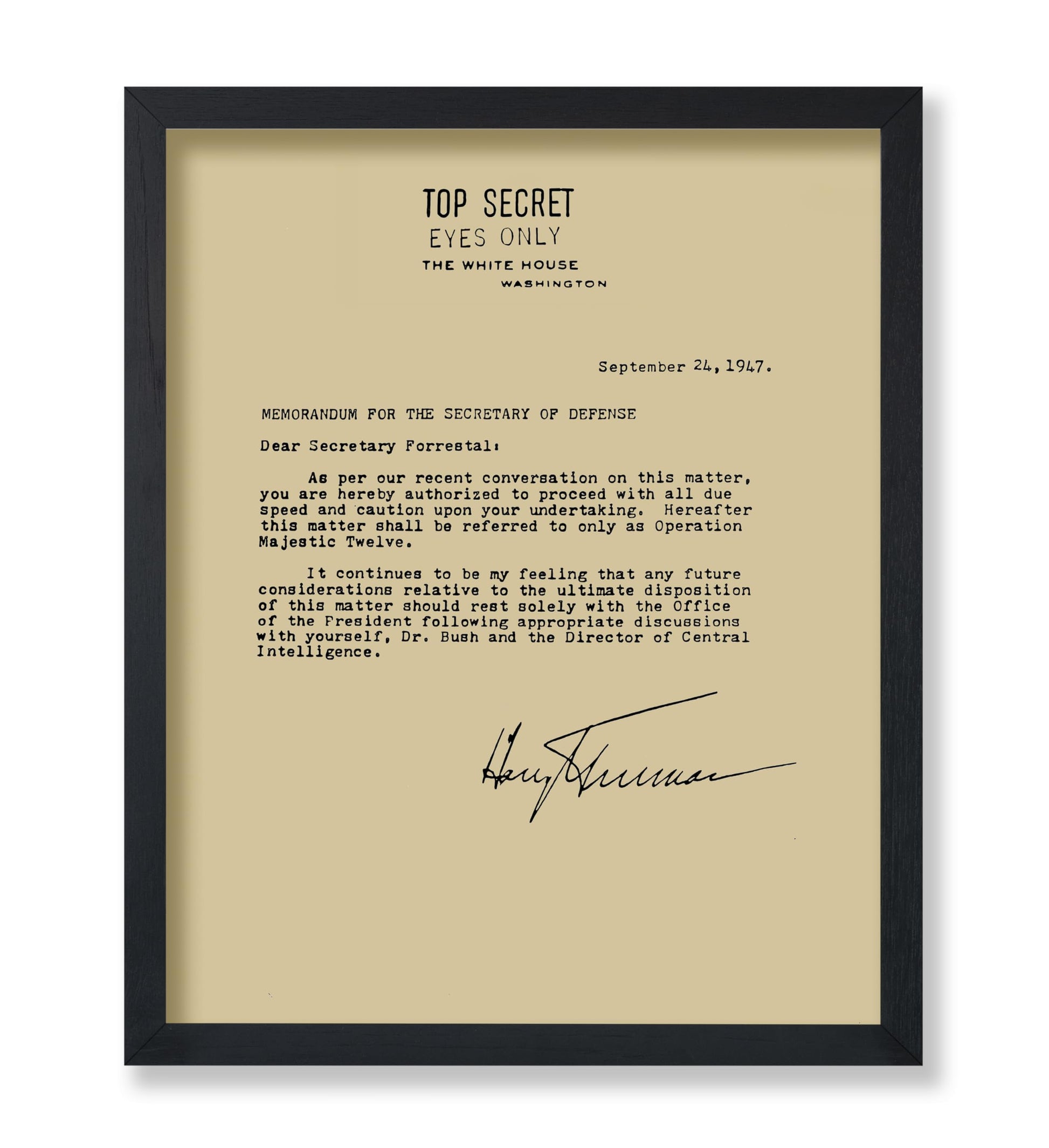 Memorandum For The Secretary