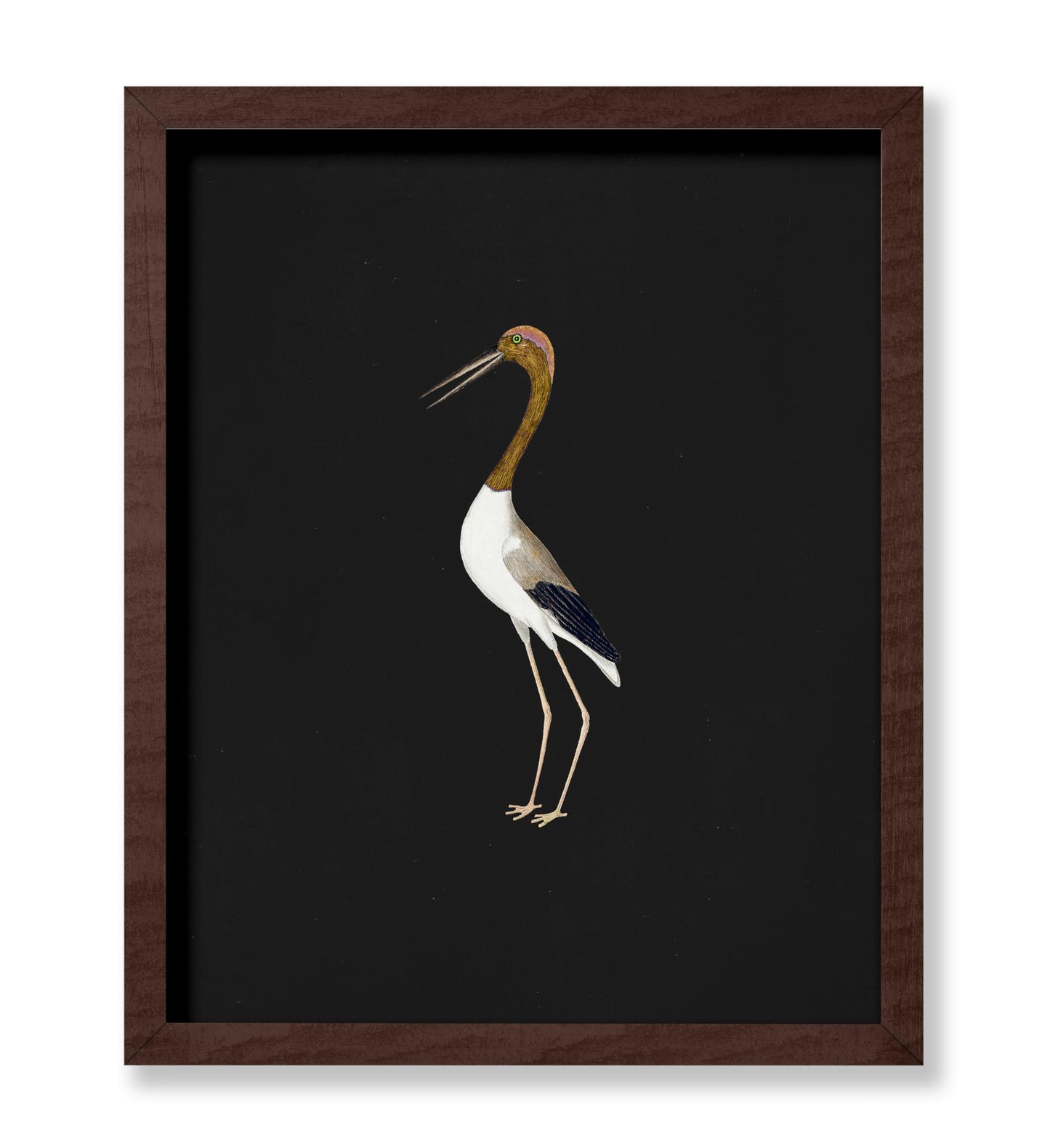 Crane Bird No2