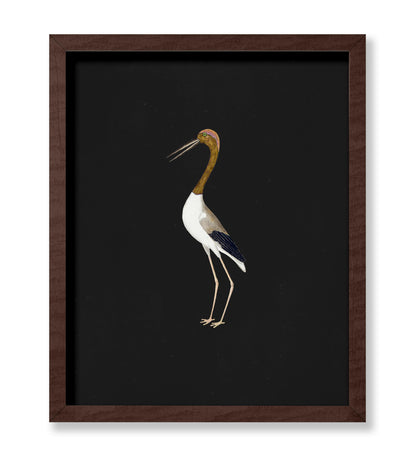 Crane Bird No2