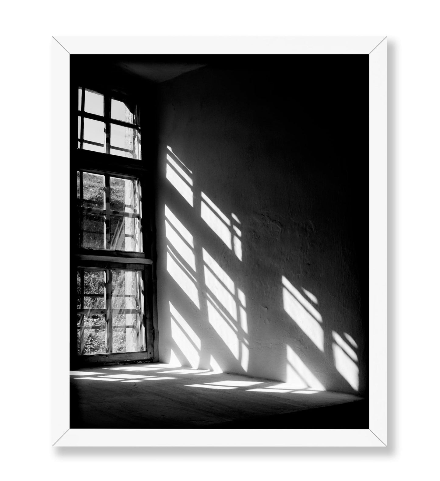 Let The Light In