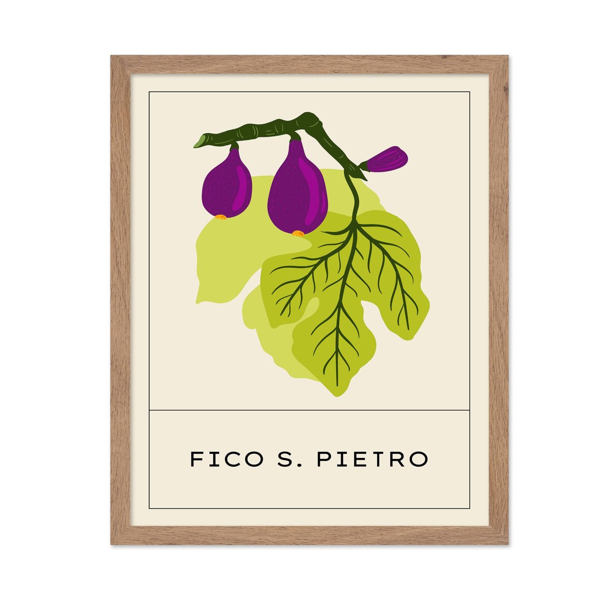 Fico San Pietro Fig