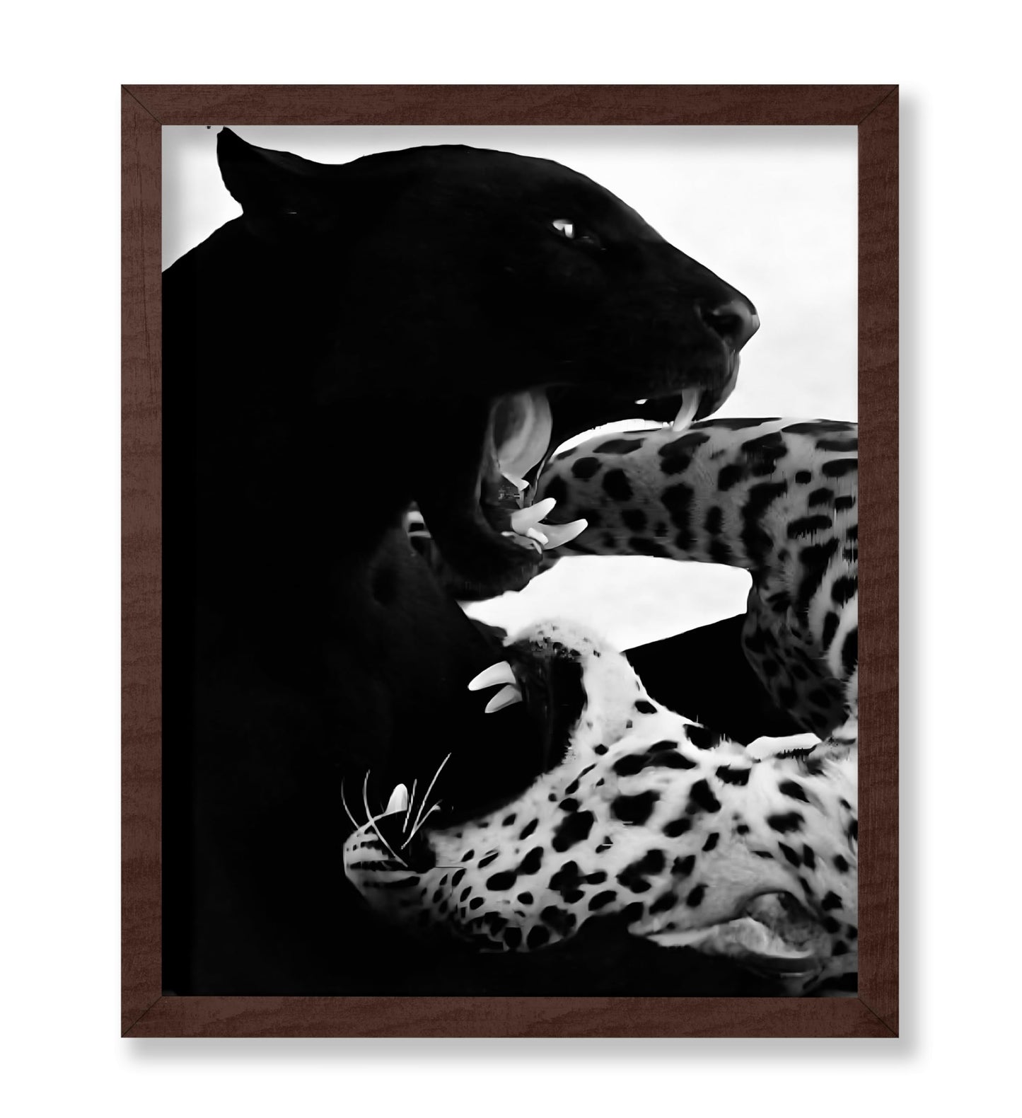 Wild Cats