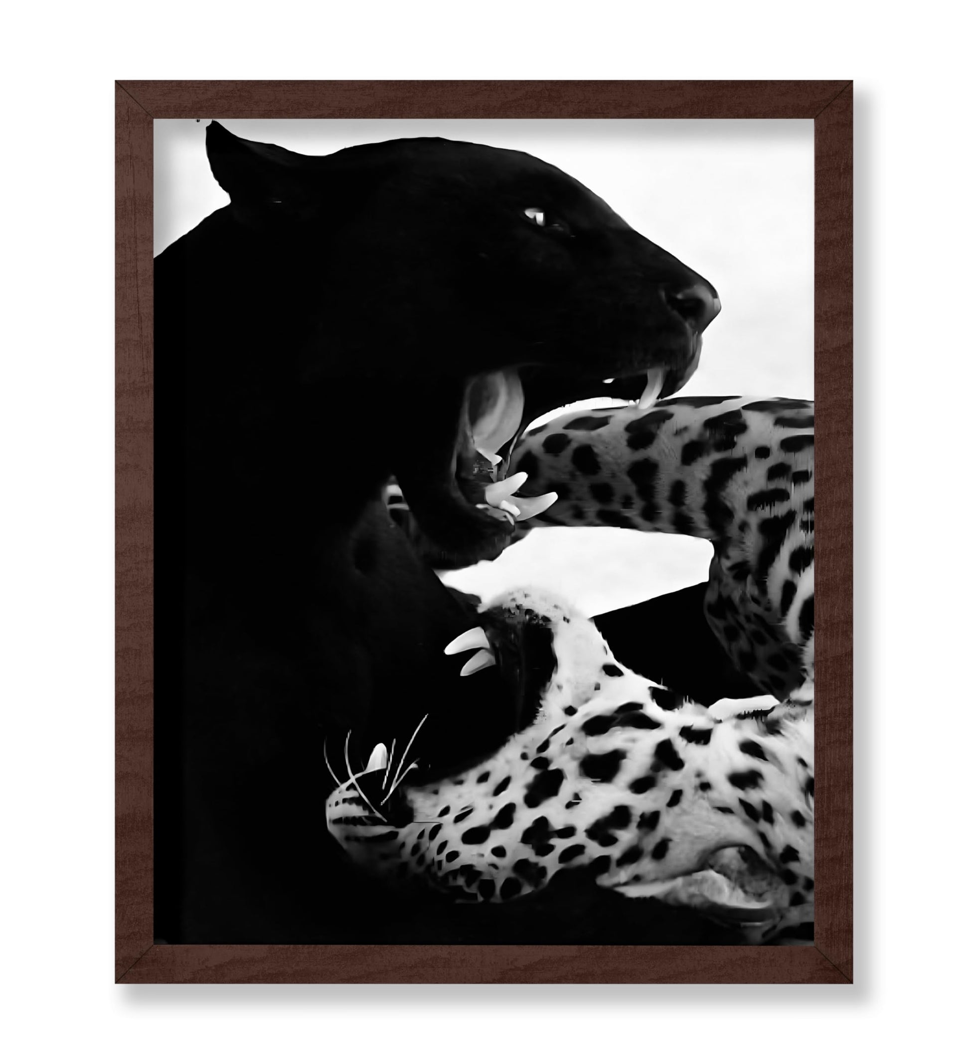 Wild Cats