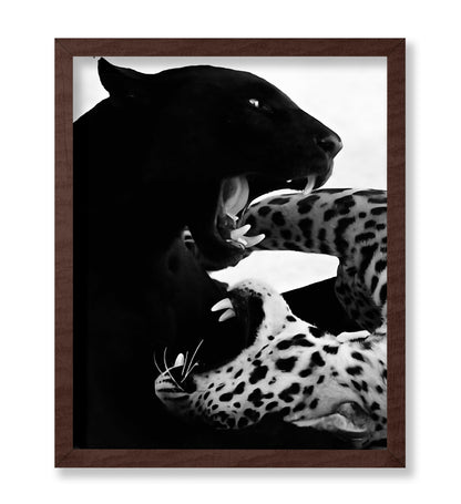 Wild Cats