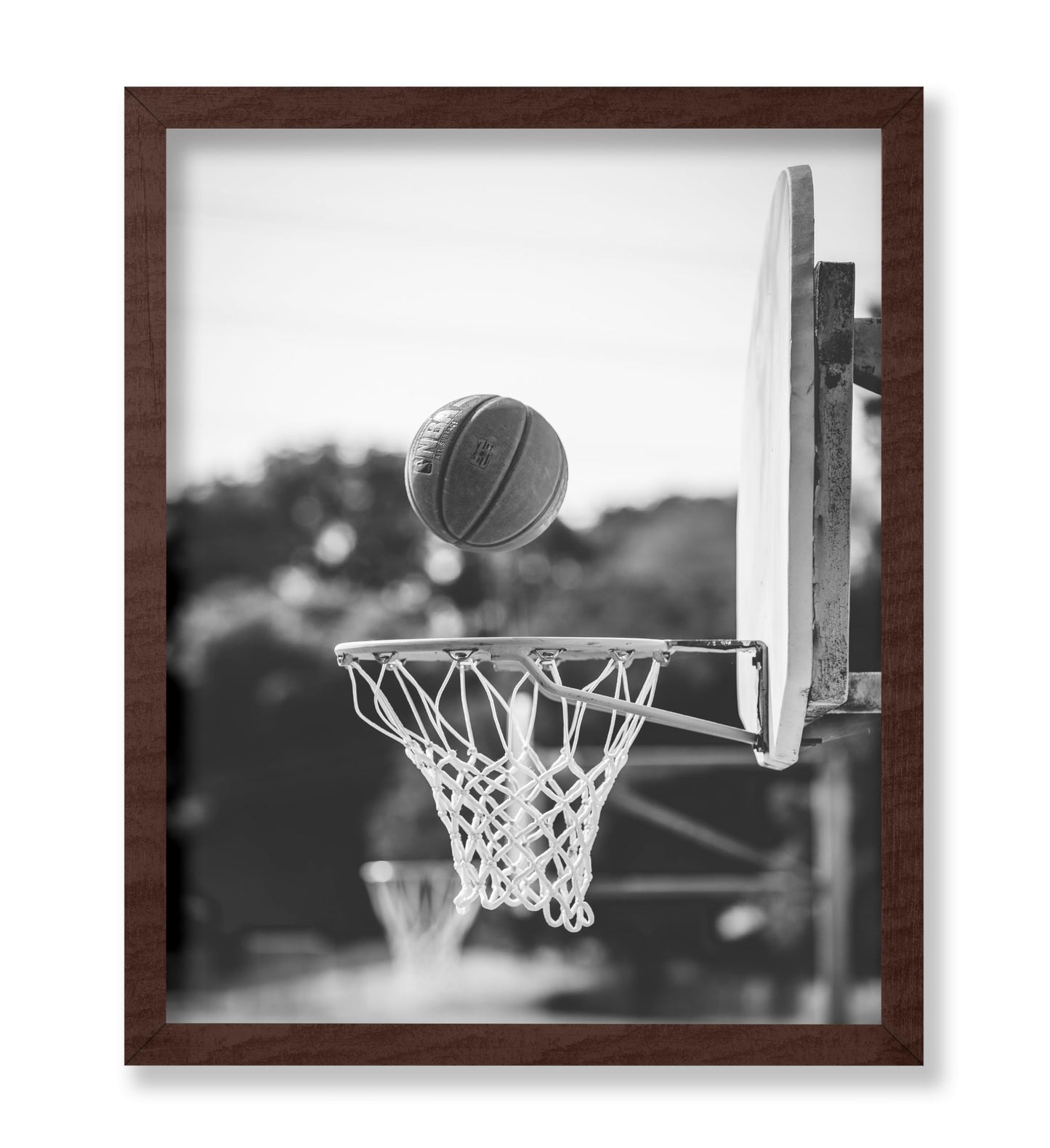 Basketball Hoop