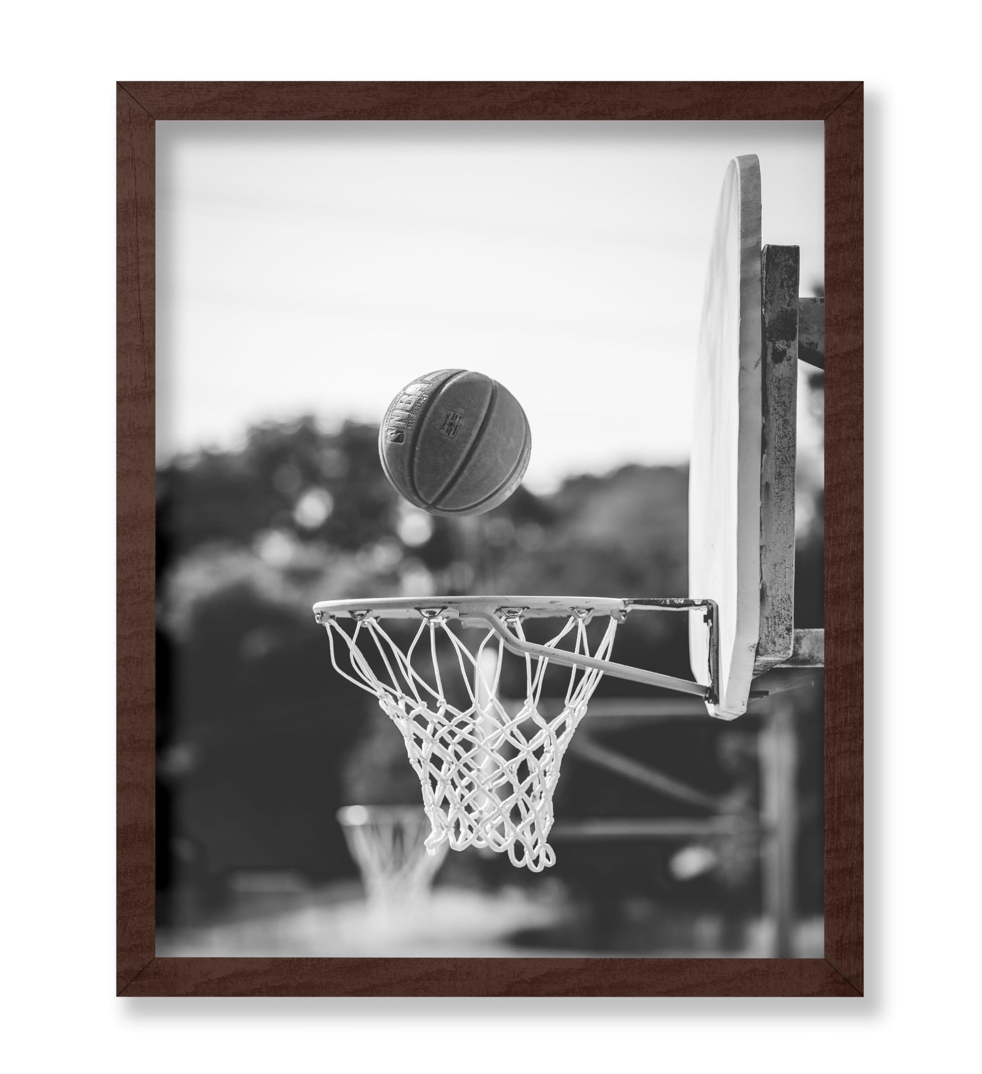 Basketball Hoop
