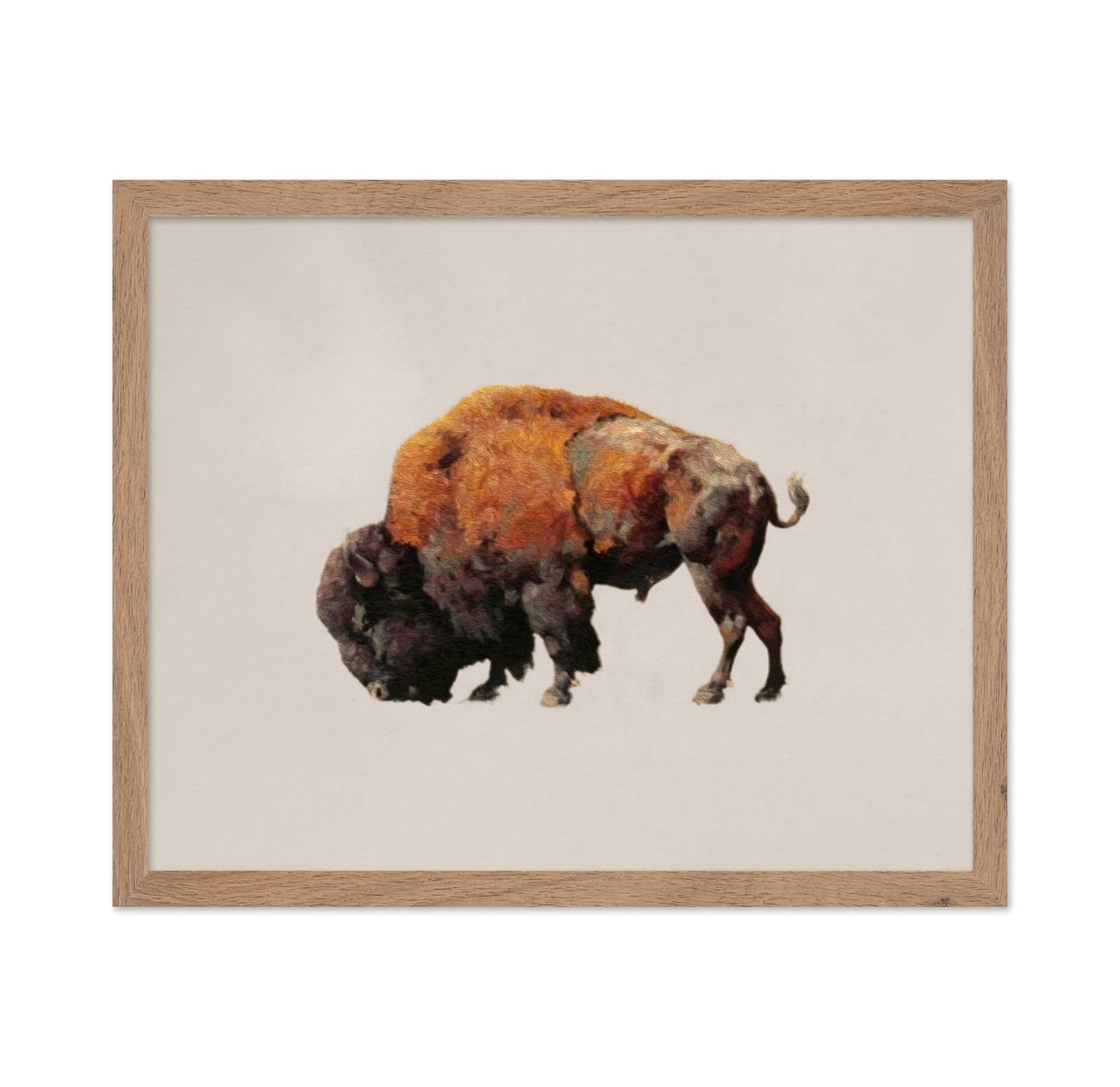 Bison Bull