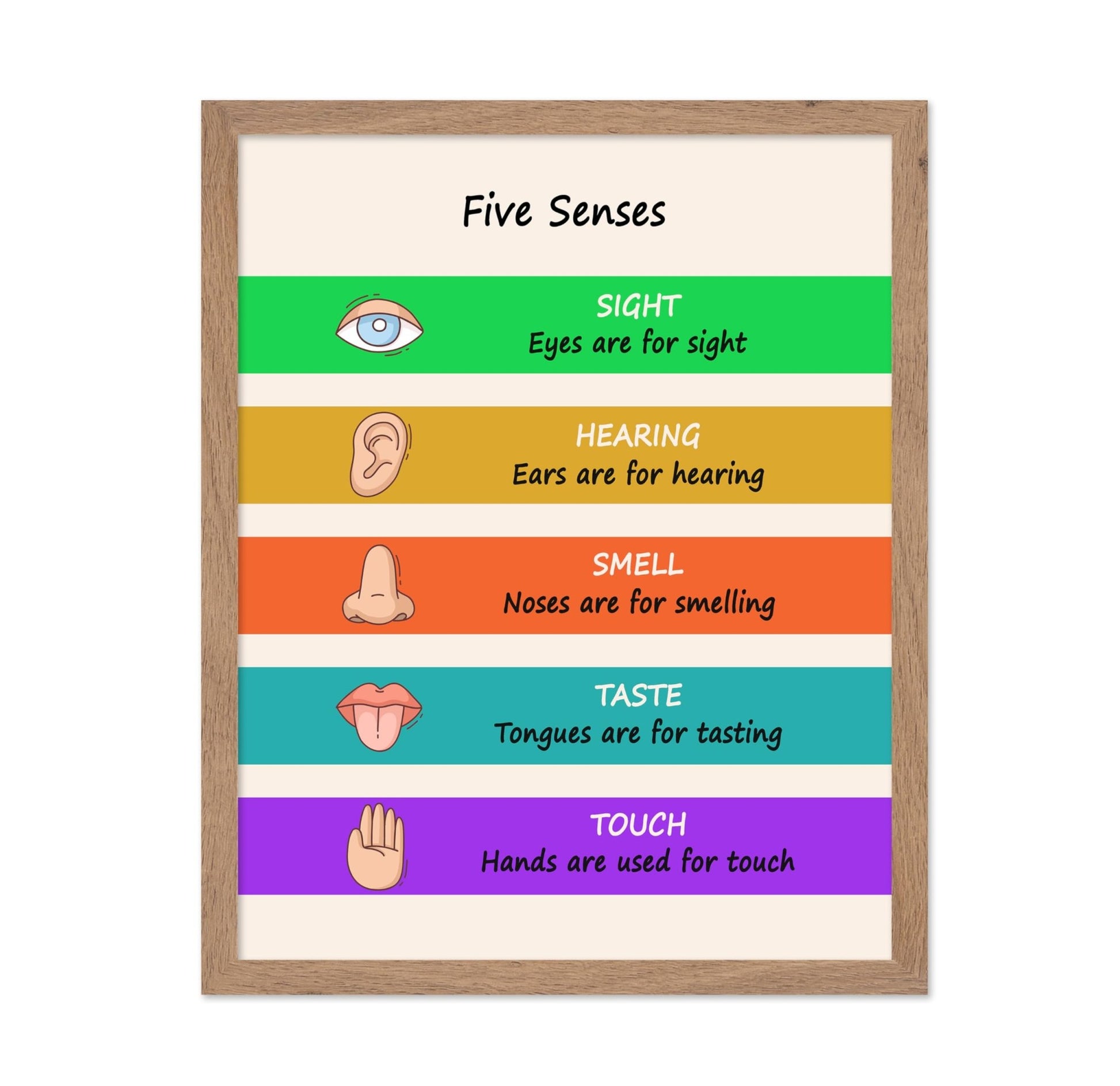 Five Senses