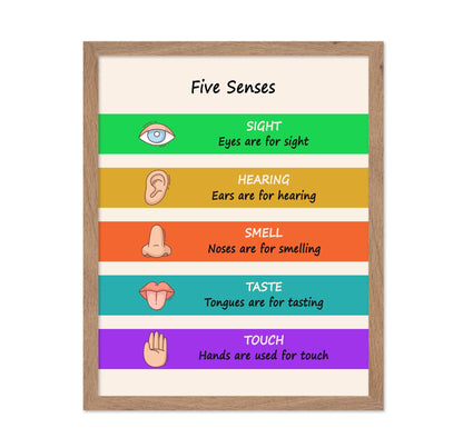 Five Senses