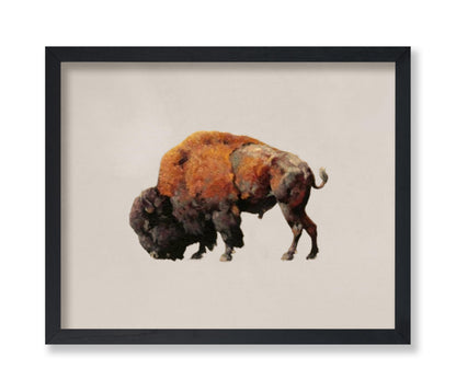 Bison Bull
