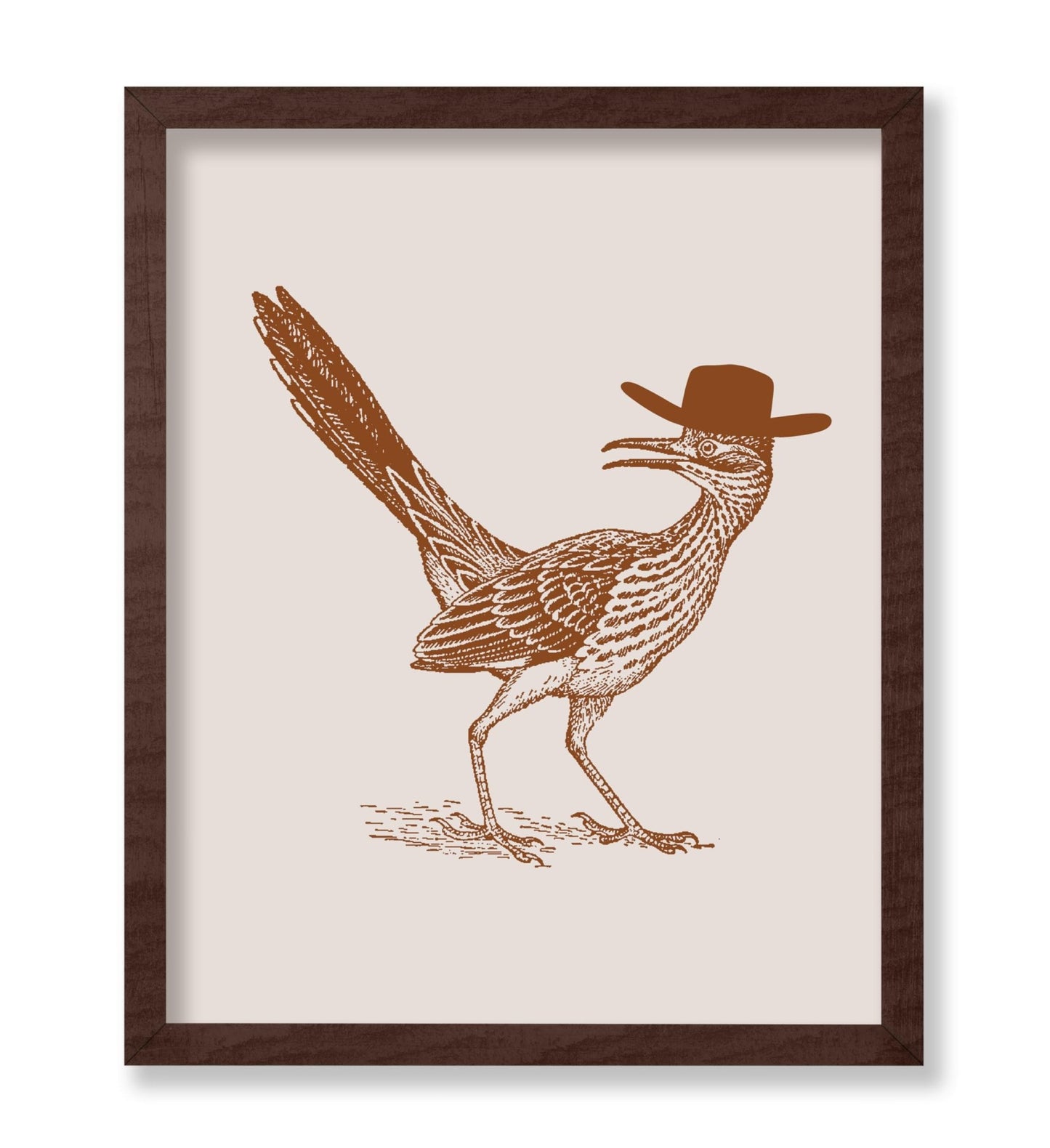 Brown Roadrunner