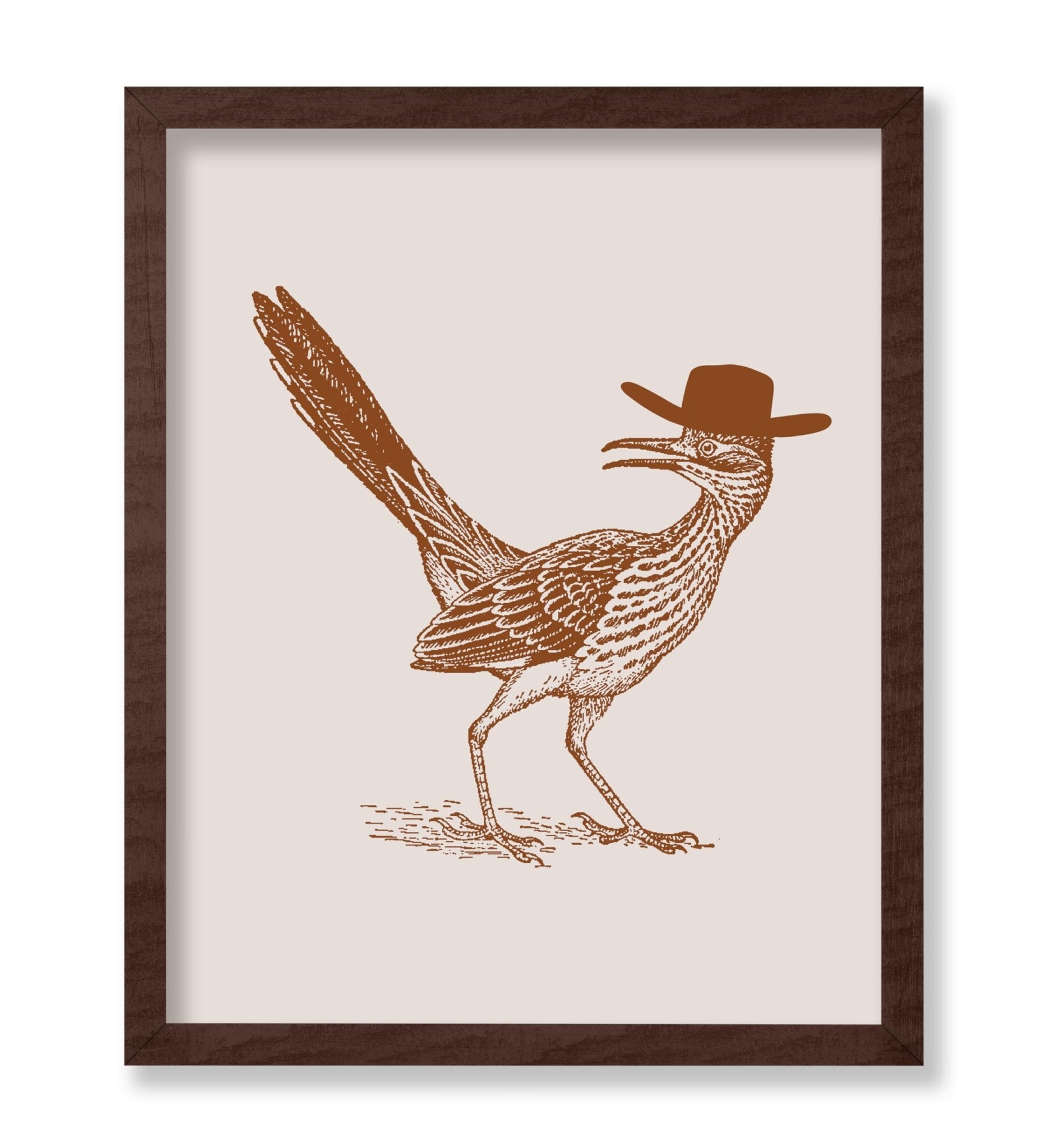 Brown Roadrunner