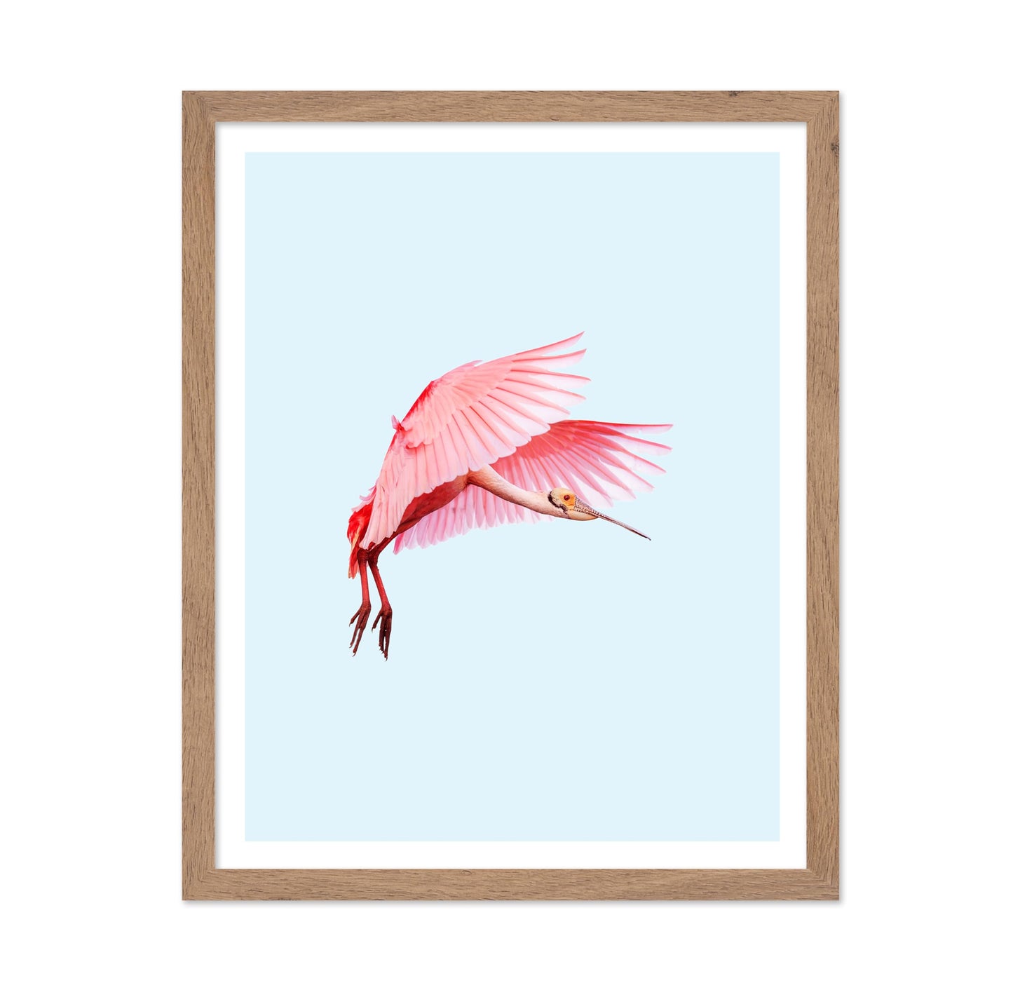 Pink Flamingo No2