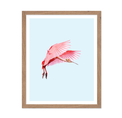 Pink Flamingo No2