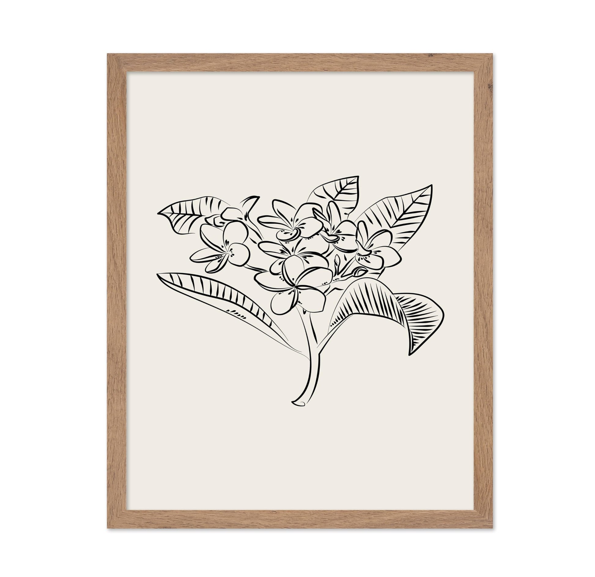 Plumeria Flower Sketch