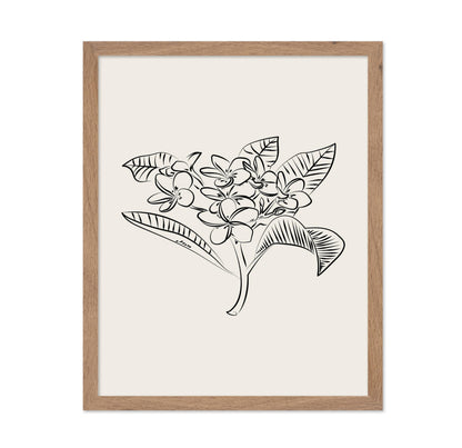 Plumeria Flower Sketch