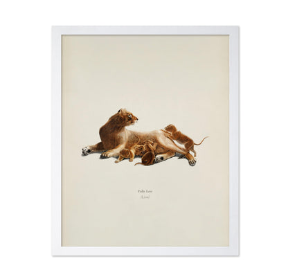 Lion & Cub