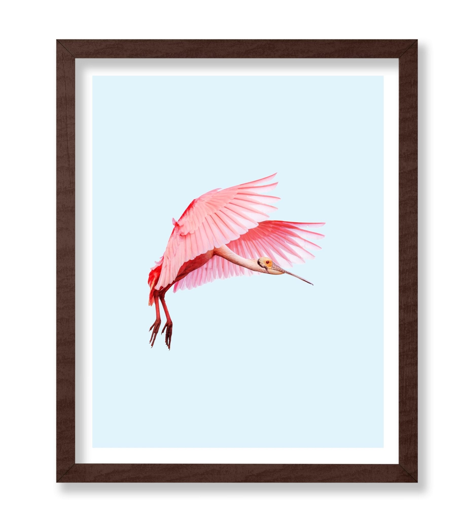 Pink Flamingo No2