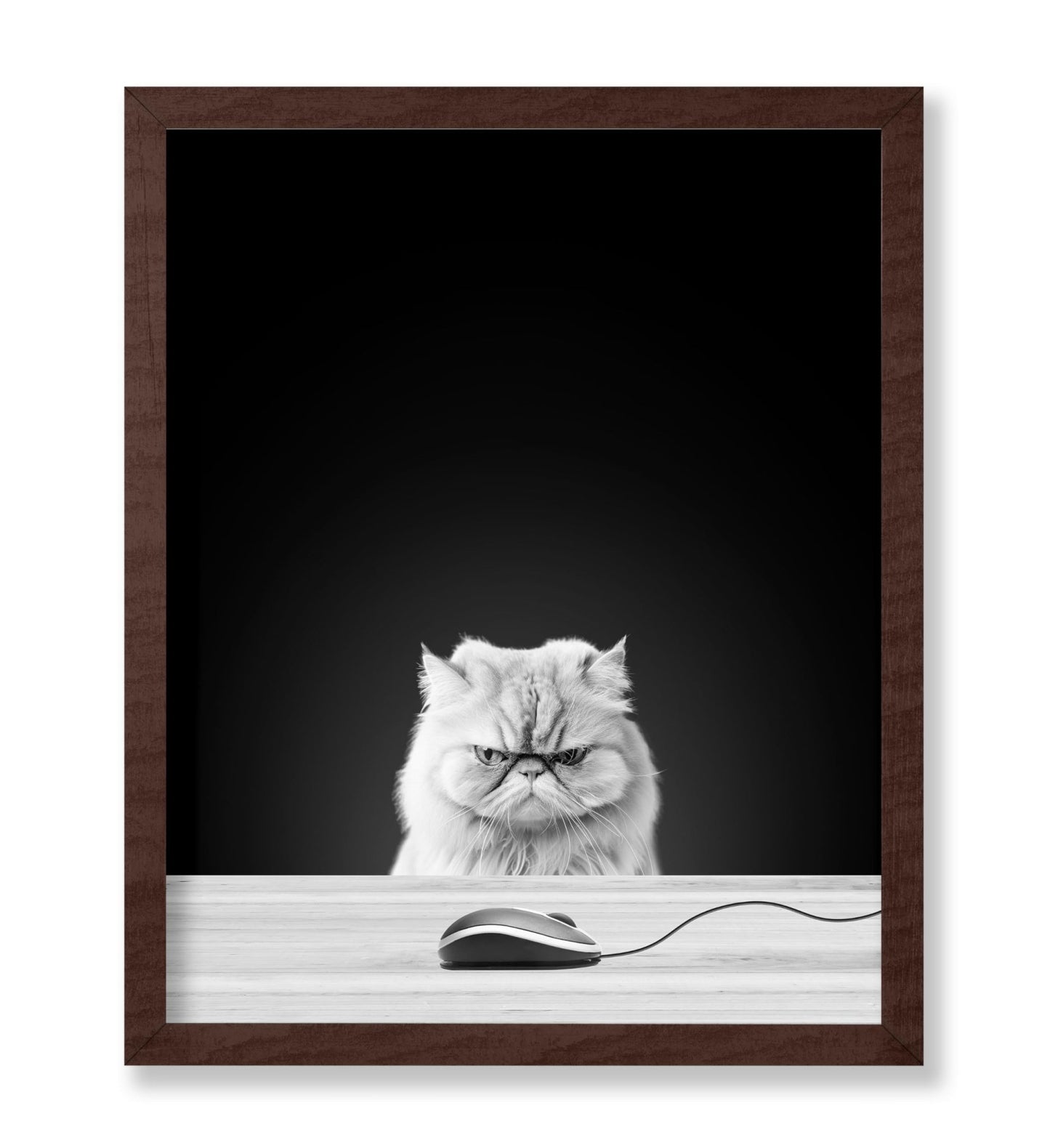 Angry Cat