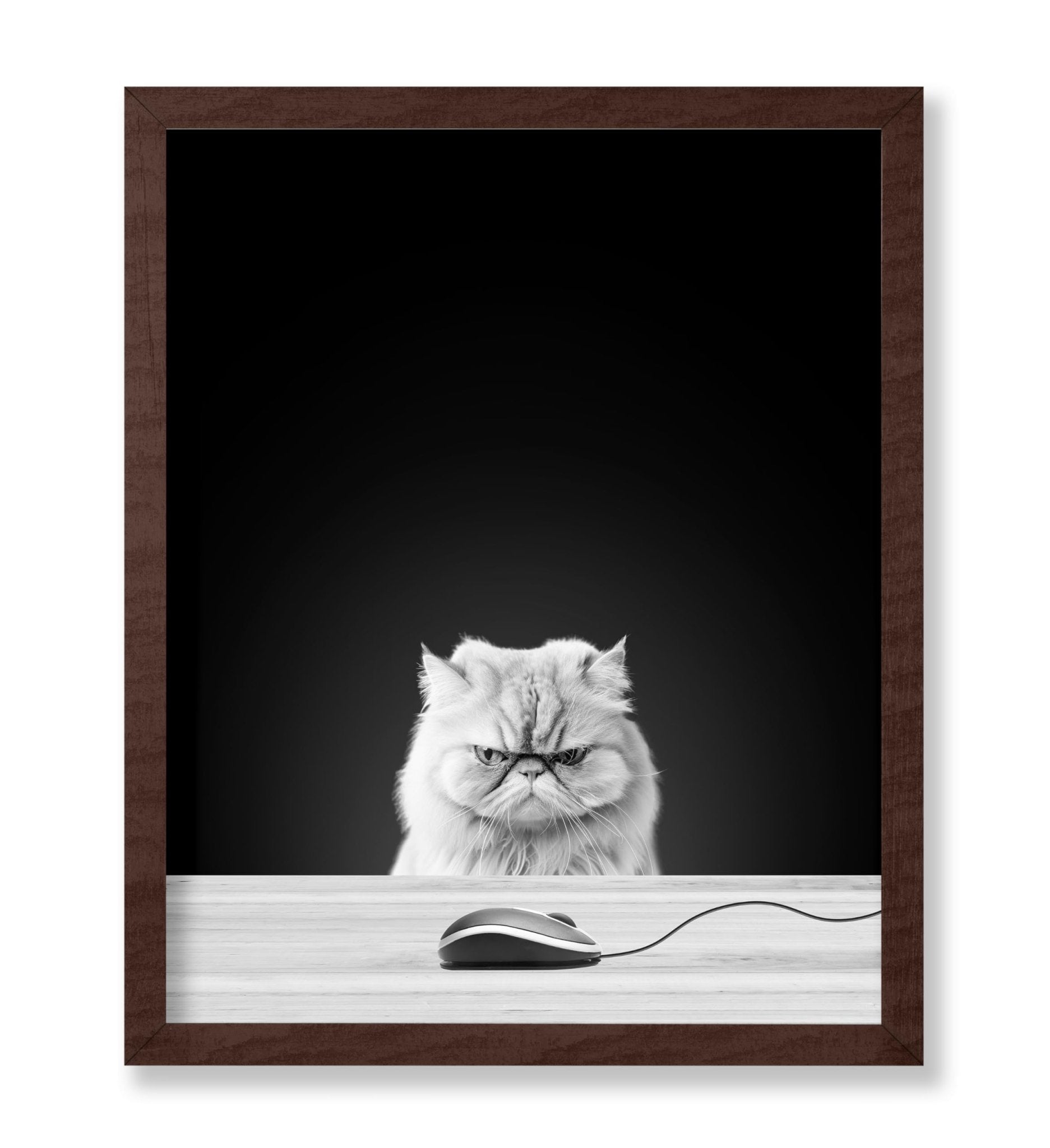 Angry Cat