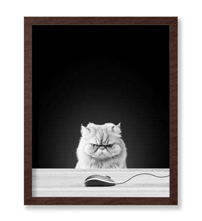 Angry Cat