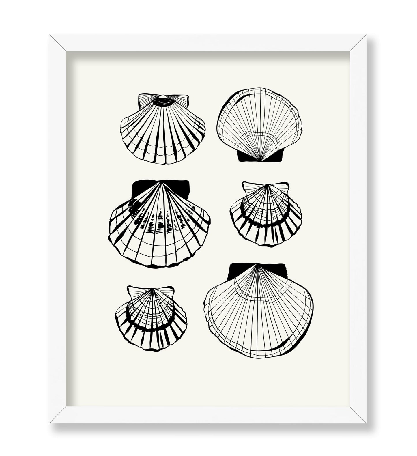 Abstract Clam Shells