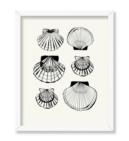 Abstract Clam Shells