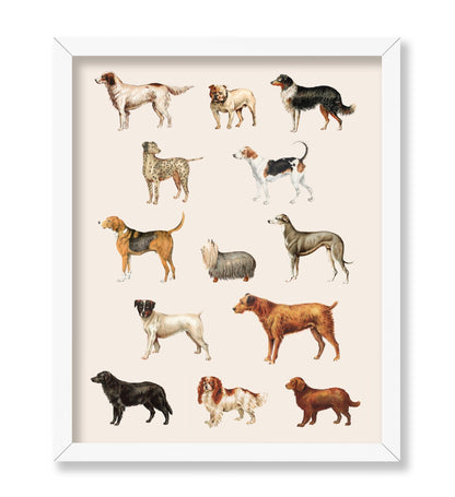 Dog Breeds