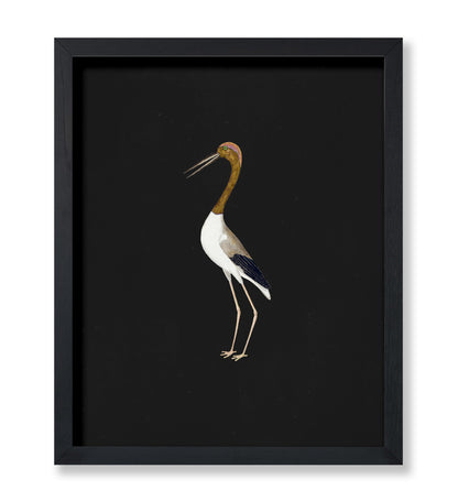 Crane Bird No2