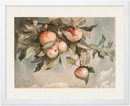 Study of Apples
