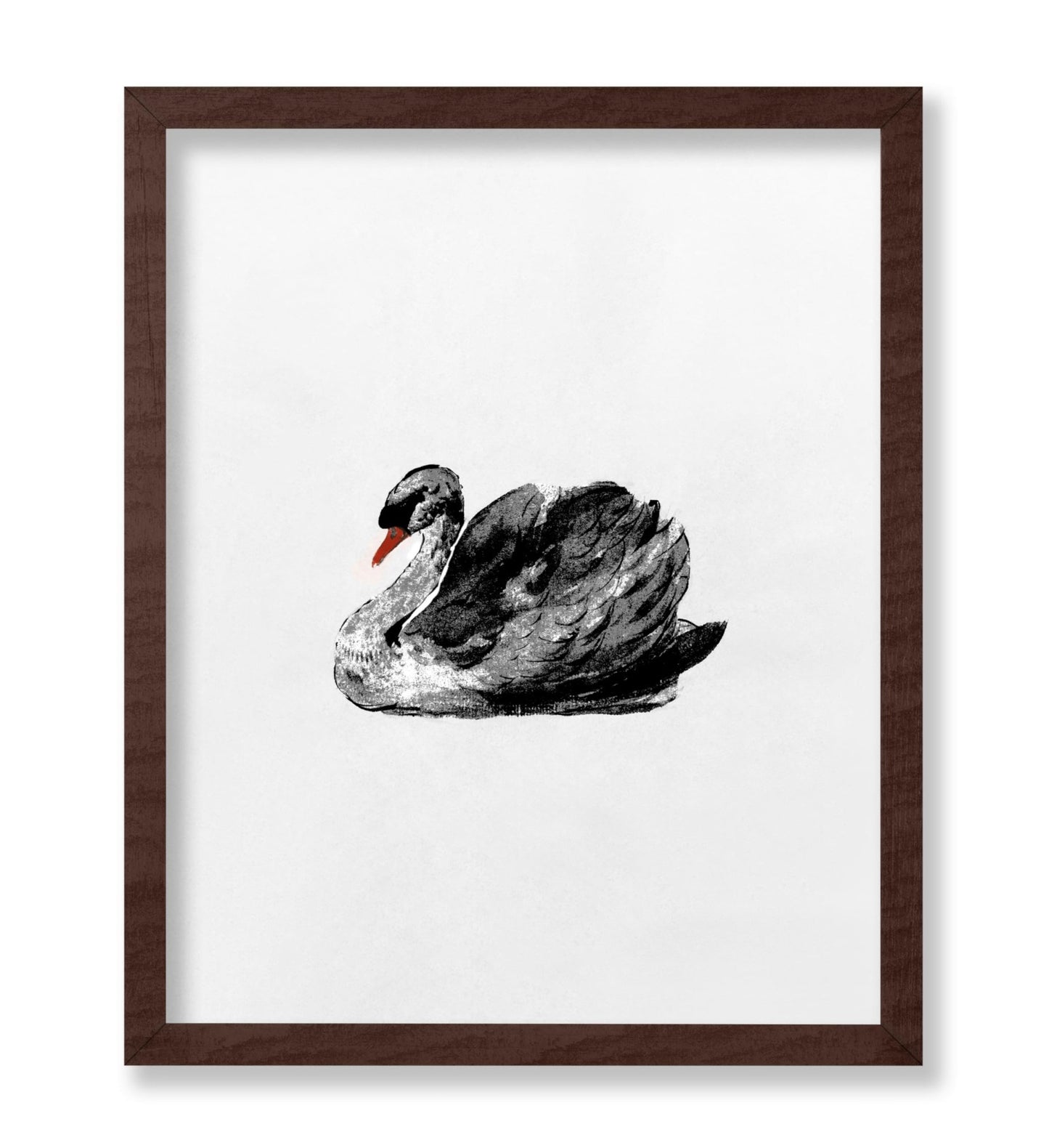 Swan Portrait No2