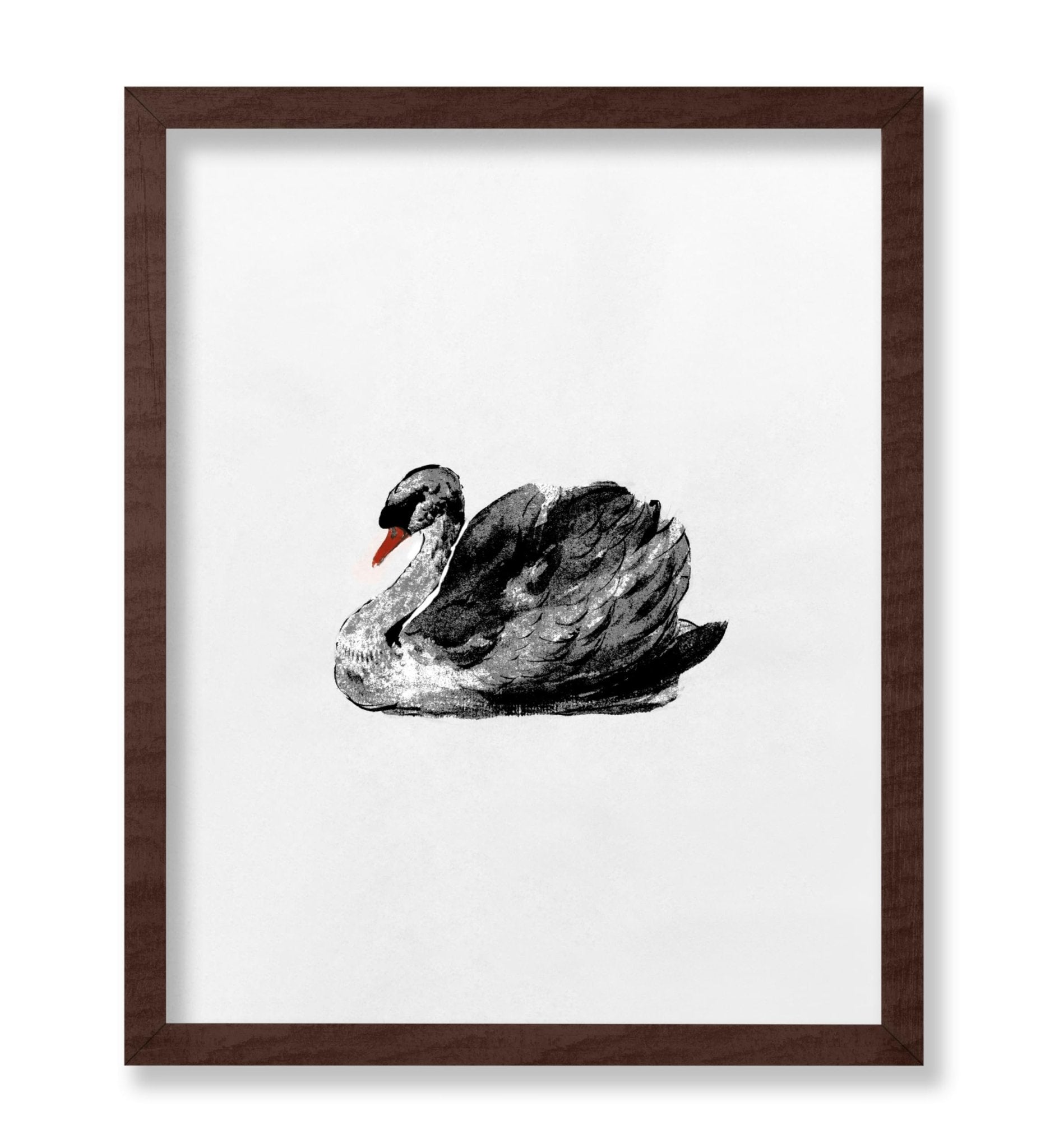 Swan Portrait No2