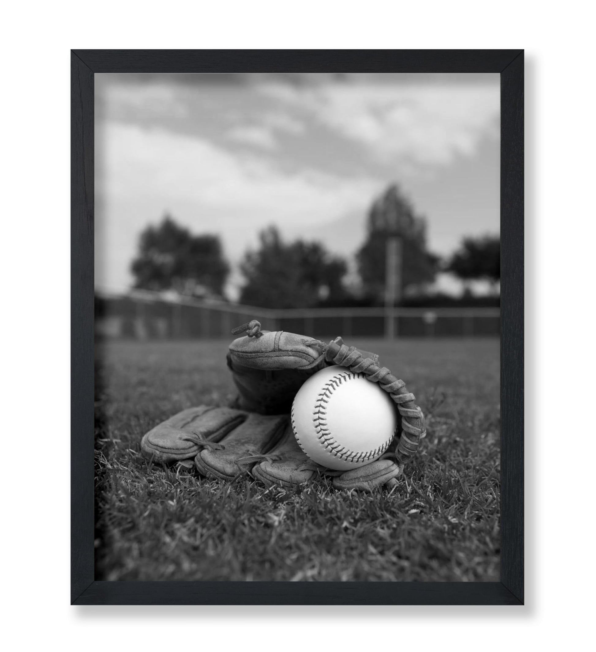 Baseball Glove