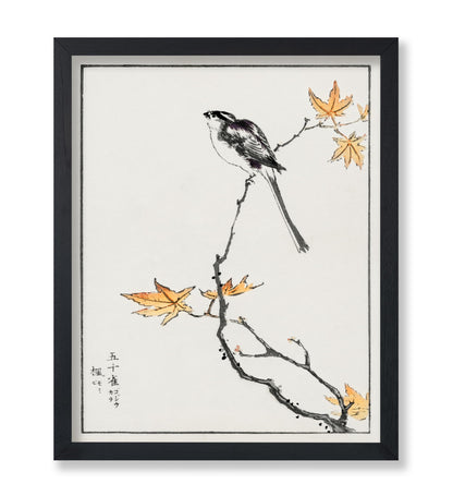 Long-Tailed Tit and Maple Tree