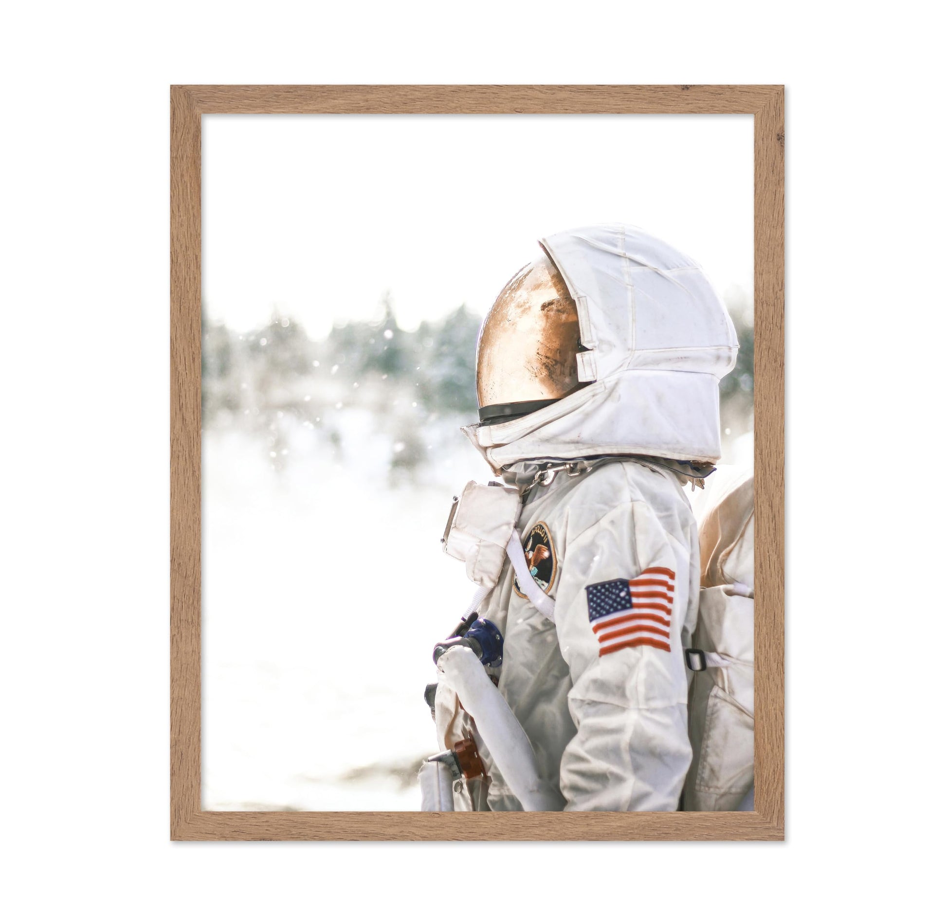 Astronaut