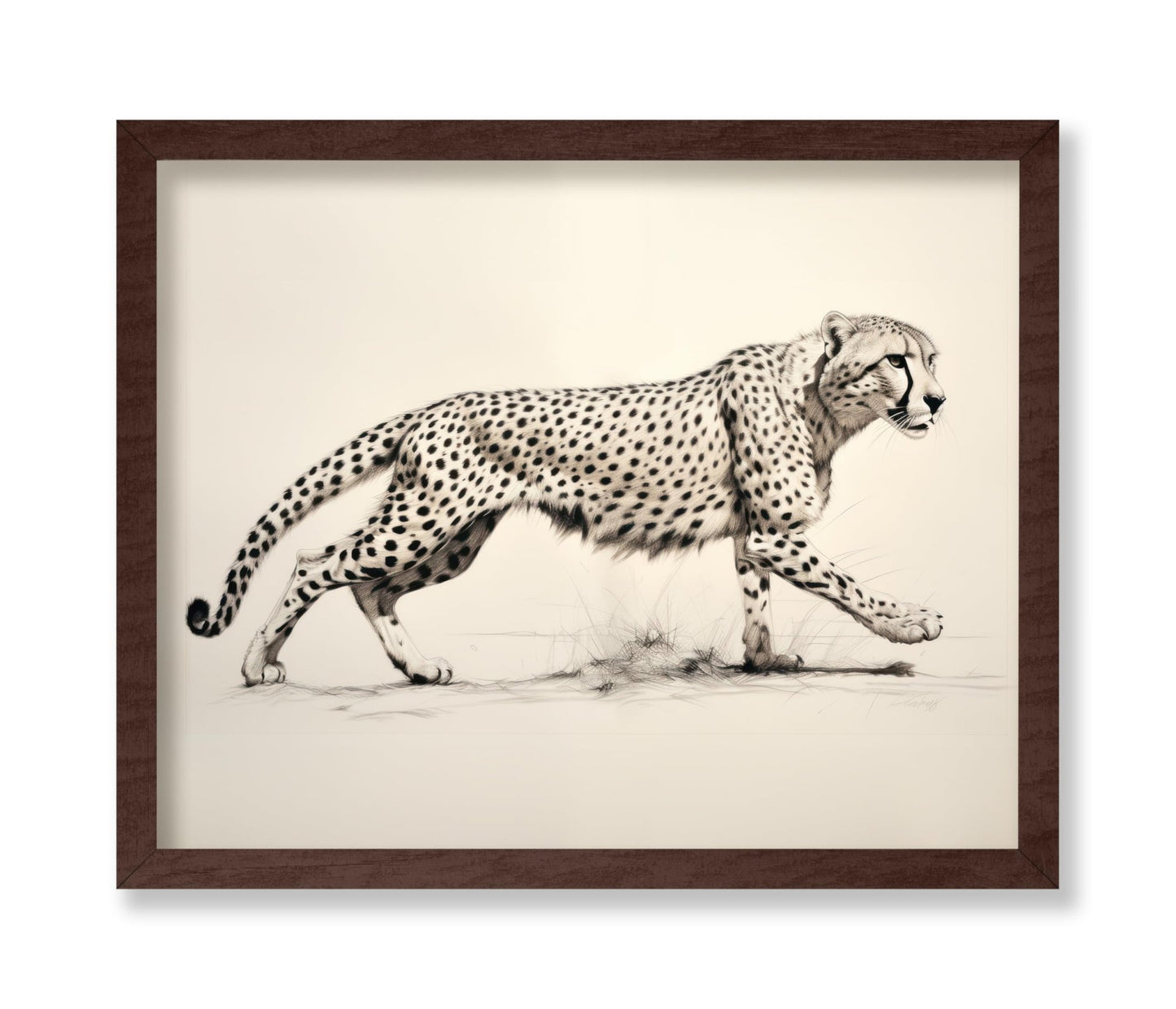 Striding Cheetah
