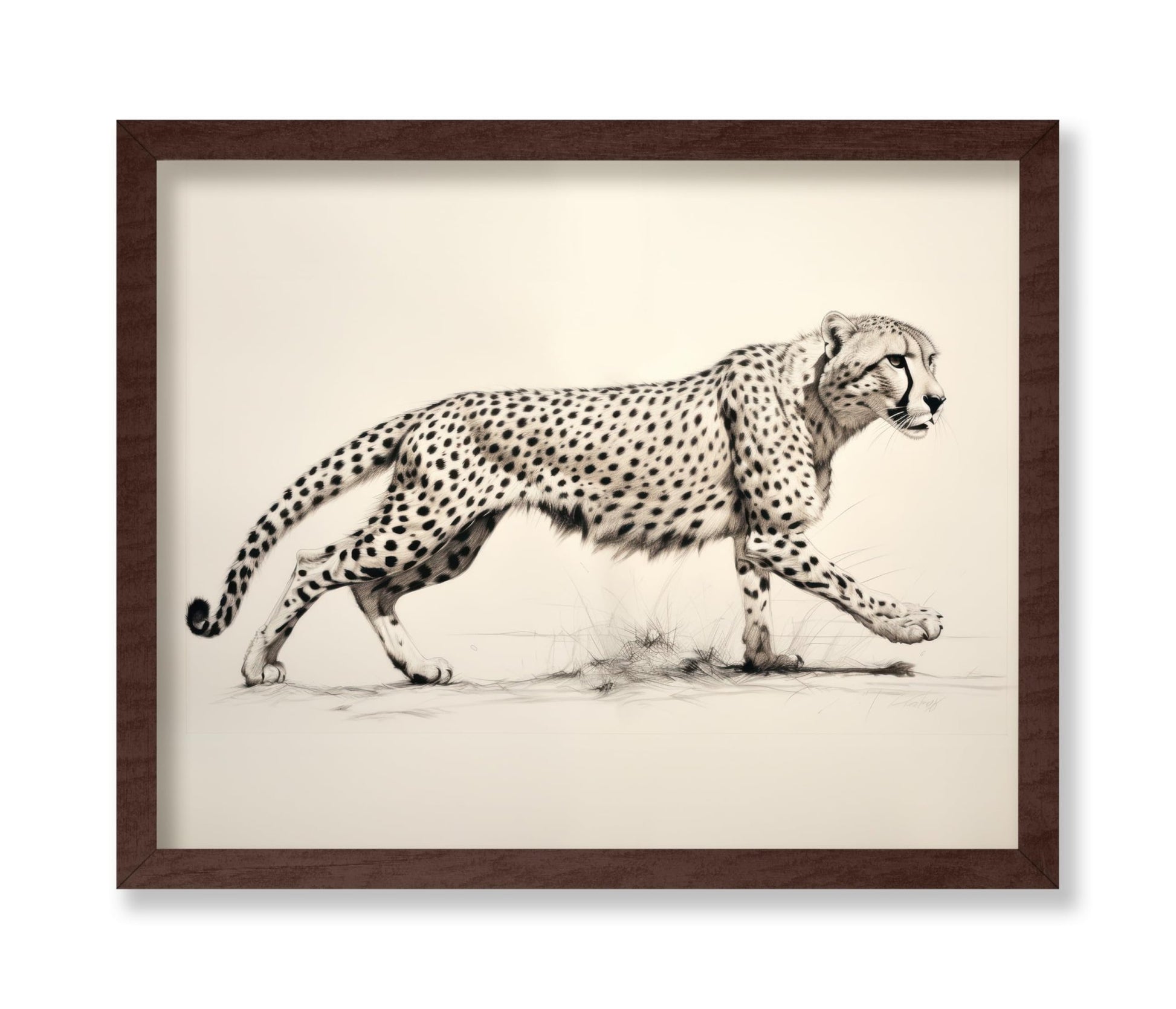 Striding Cheetah