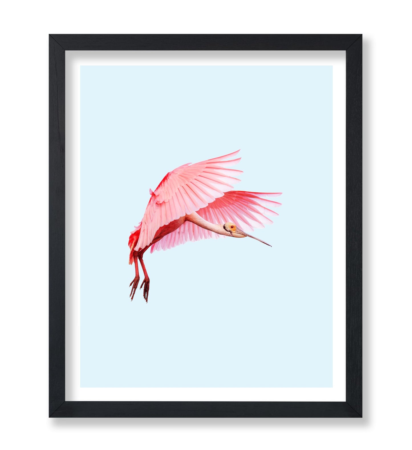 Pink Flamingo No2