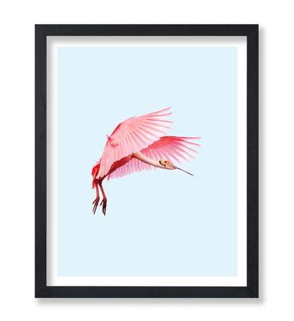 Pink Flamingo No2